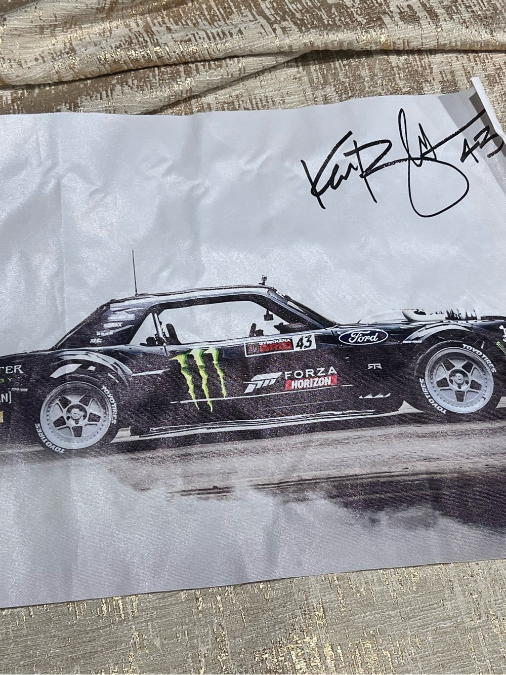NASCAR Racing Photo Print Car #43 Monster Energy Hoonigan Forza